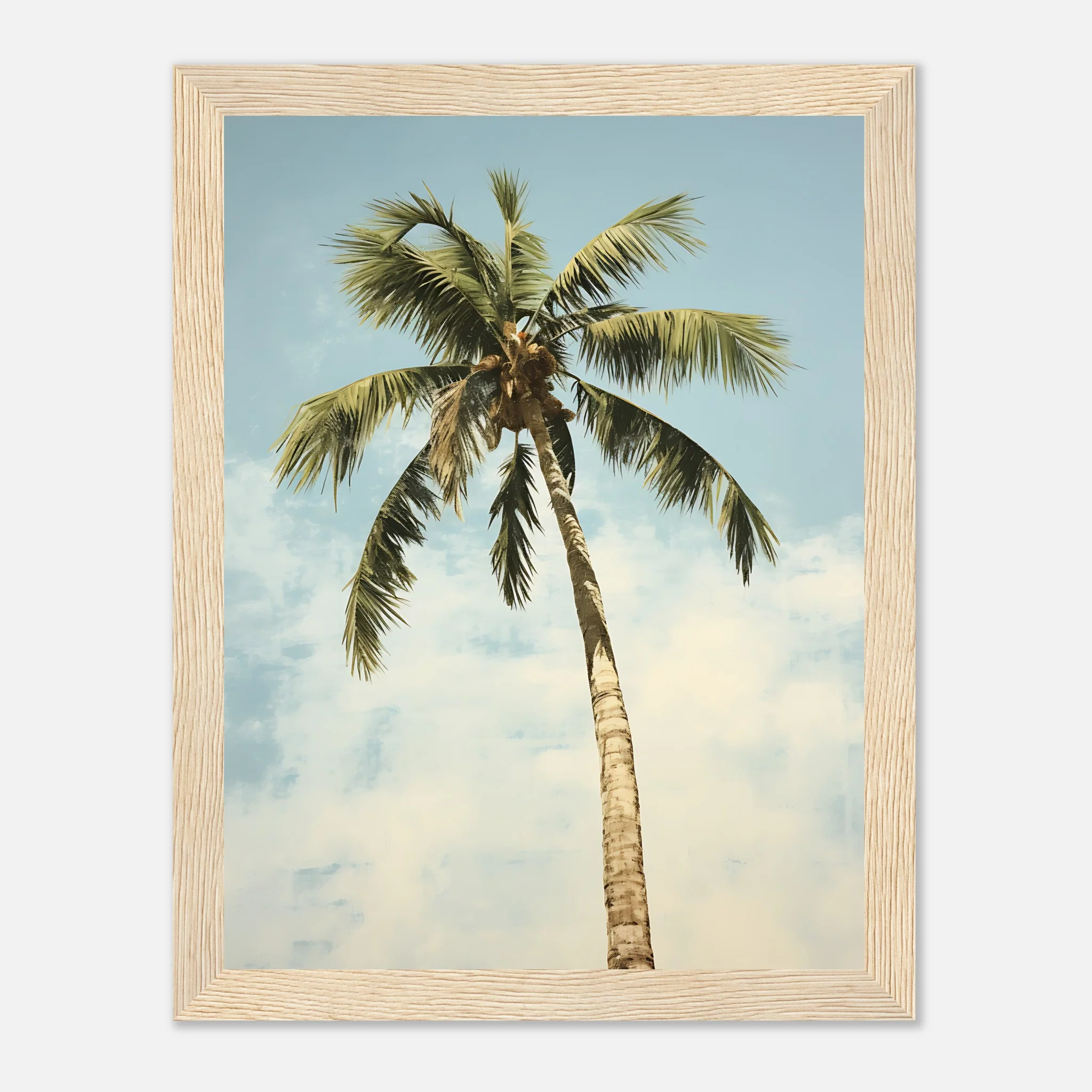 Palm Tree – Poster - Image 8